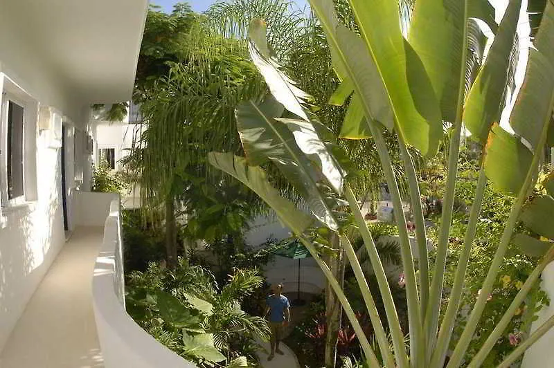 ***  Xperience Hotels Aqualuna Boutique Hotel Playa del Carmen Mexico